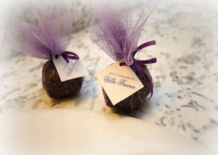 Triana-adults Only Vendégház 4*