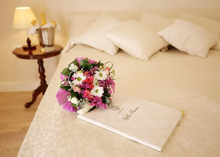 Triana-adults Only Zára