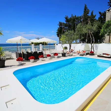 Triana-adults Only Zara